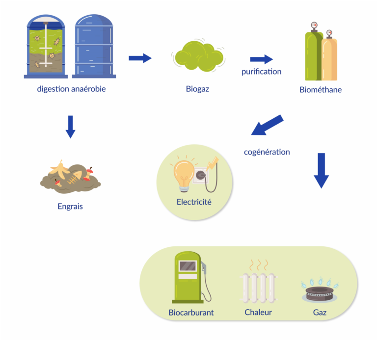 schéma du processus de l'utilisation du biogaz